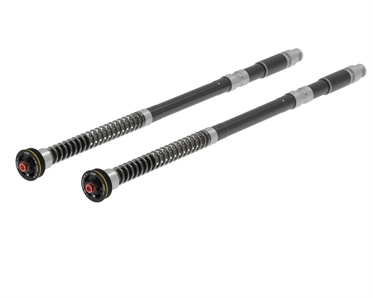 55182T01_APEX PRO 7500 Cartridge_1290 Super Duke R 2020_spring